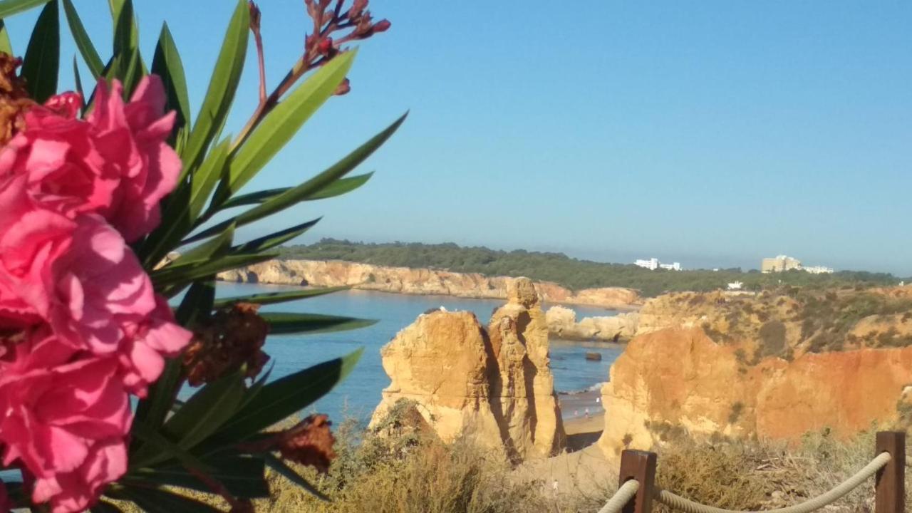 Albur Village B - Camomile Alvor Εξωτερικό φωτογραφία